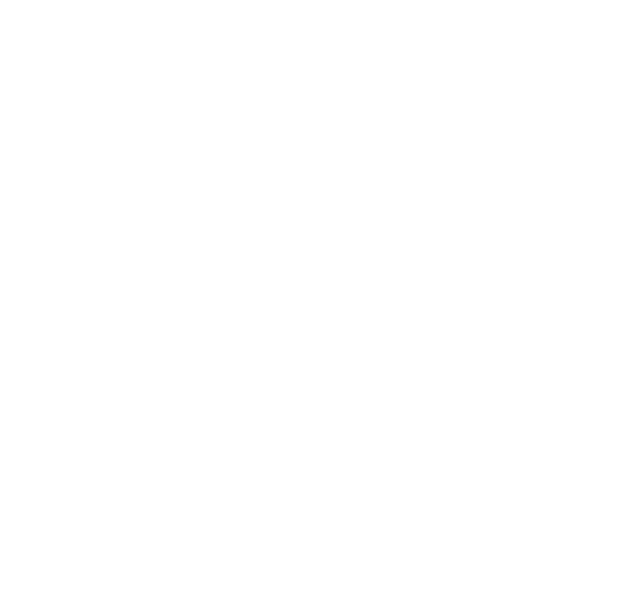MS Saloon